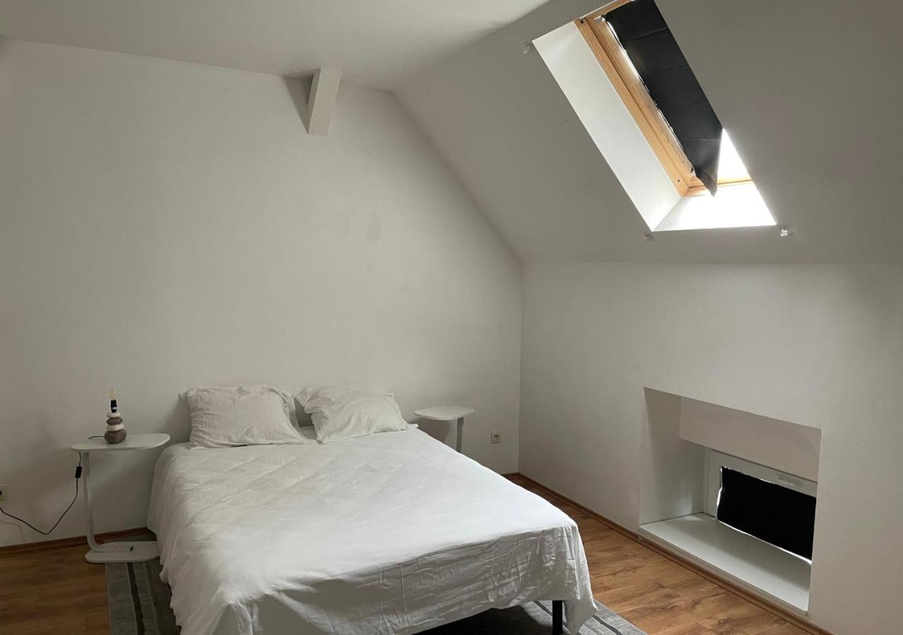 Le Wolf - 1 Chambre Dans Un T3 - 5Mn Tram Du Centre Ville - 15Mn Tram Gare Tgv Mulhouse - Wifi - Parking Exteriér fotografie